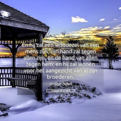 Picture 05 - Genesis 16:12 NLD - En hij zal een woudezel van een mens zijn; zijn - Bible Verse Picture