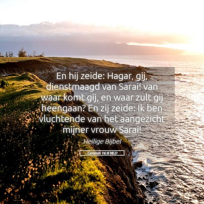 Picture 05 - Genesis 16:8 NLD - En hij zeide: Hagar, gij, dienstmaagd van Sarai! - Bible Verse Picture