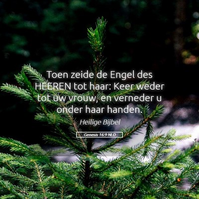 Picture 05 - Genesis 16:9 NLD - Toen zeide de Engel des HEEREN tot haar: Keer - Bible Verse Picture