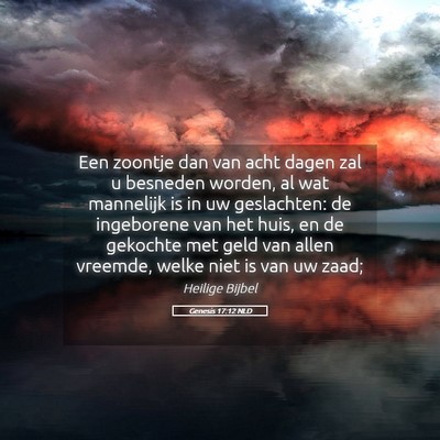 Picture 05 - Genesis 17:12 NLD - Een zoontje dan van acht dagen zal u besneden - Bible Verse Picture