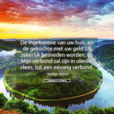 Picture 05 - Genesis 17:13 NLD - De ingeborene van uw huis, en de gekochte met uw - Bible Verse Picture