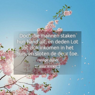 Picture 05 - Genesis 19:10 NLD - Doch die mannen staken hun hand uit, en deden Lot - Bible Verse Picture