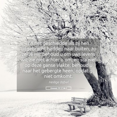 Picture 05 - Genesis 19:17 NLD - En het geschiedde als zij hen uitgebracht hadden - Bible Verse Picture