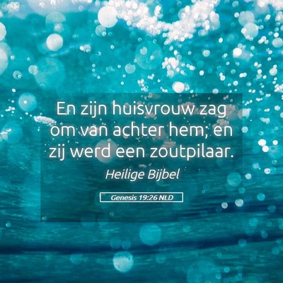 Picture 05 - Genesis 19:26 NLD - En zijn huisvrouw zag om van achter hem; en zij - Bible Verse Picture