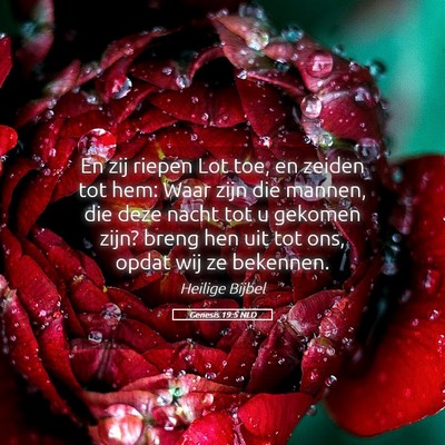 Picture 05 - Genesis 19:5 NLD - En zij riepen Lot toe, en zeiden tot hem: Waar - Bible Verse Picture