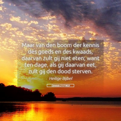 Picture 05 - Genesis 2:17 NLD - Maar van den boom der kennis des goeds en des - Bible Verse Picture