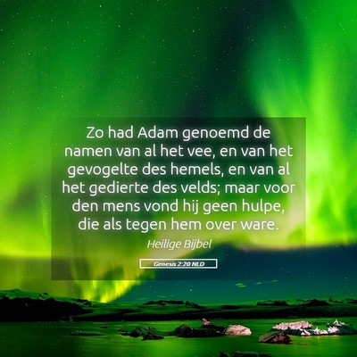Picture 05 - Genesis 2:20 NLD - Zo had Adam genoemd de namen van al het vee, en - Bible Verse Picture