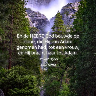 Picture 05 - Genesis 2:22 NLD - En de HEERE God bouwde de ribbe, die Hij van Adam - Bible Verse Picture