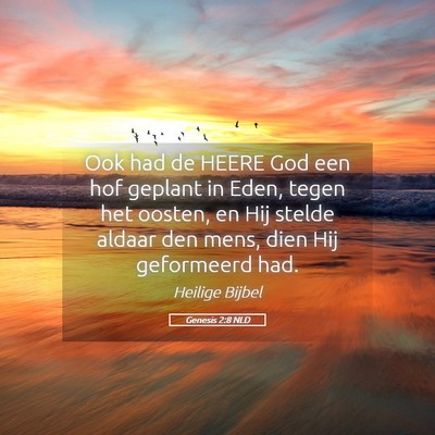 Picture 05 - Genesis 2:8 NLD - Ook had de HEERE God een hof geplant in Eden, - Bible Verse Picture