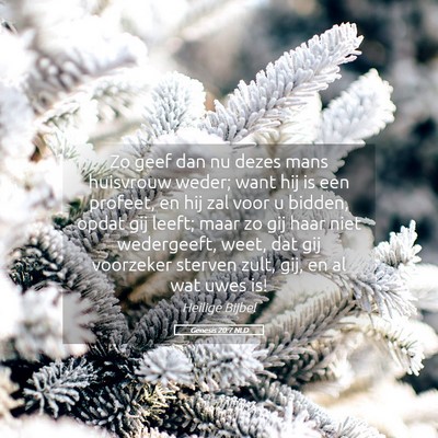 Picture 05 - Genesis 20:7 NLD - Zo geef dan nu dezes mans huisvrouw weder; want - Bible Verse Picture