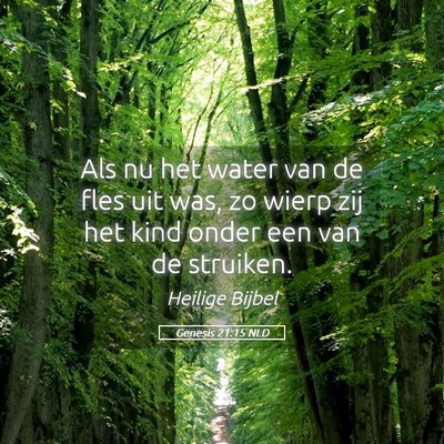 Picture 05 - Genesis 21:15 NLD - Als nu het water van de fles uit was, zo wierp - Bible Verse Picture
