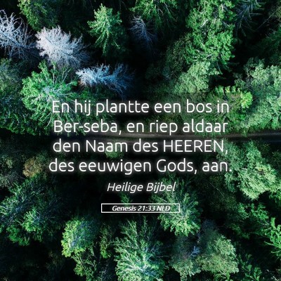 Picture 05 - Genesis 21:33 NLD - En hij plantte een bos in Ber-seba, en riep - Bible Verse Picture