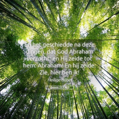 Picture 05 - Genesis 22:1 NLD - En het geschiedde na deze dingen, dat God Abraham - Bible Verse Picture