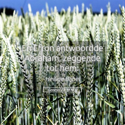 Picture 05 - Genesis 23:14 NLD - En Efron antwoordde Abraham, zeggende tot - Bible Verse Picture