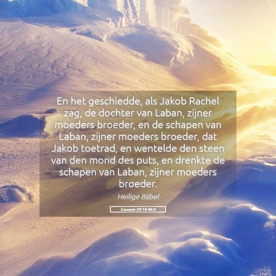 Picture 05 - Genesis 29:10 NLD - En het geschiedde, als Jakob Rachel zag, de - Bible Verse Picture