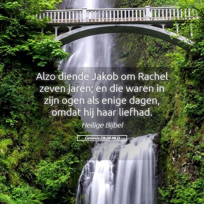 Picture 05 - Genesis 29:20 NLD - Alzo diende Jakob om Rachel zeven jaren; en die - Bible Verse Picture