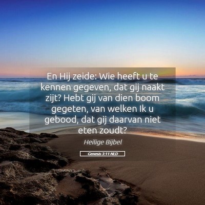Picture 05 - Genesis 3:11 NLD - En Hij zeide: Wie heeft u te kennen gegeven, dat - Bible Verse Picture