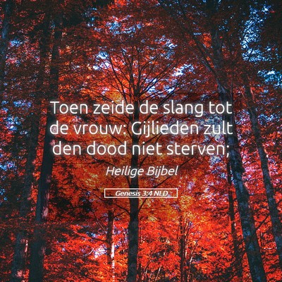 Picture 05 - Genesis 3:4 NLD - Toen zeide de slang tot de vrouw: Gijlieden zult - Bible Verse Picture