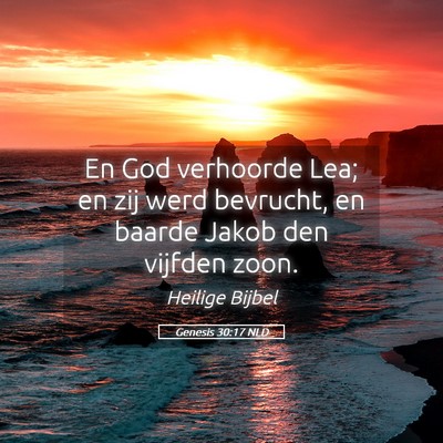 Picture 05 - Genesis 30:17 NLD - En God verhoorde Lea; en zij werd bevrucht, en - Bible Verse Picture
