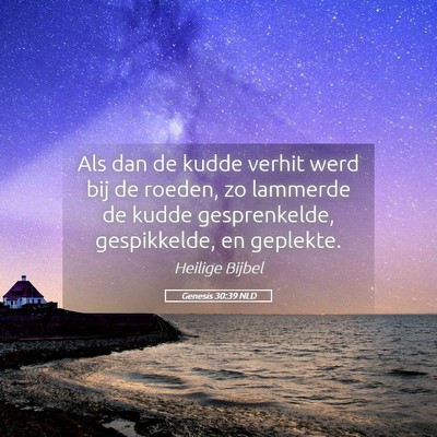 Picture 05 - Genesis 30:39 NLD - Als dan de kudde verhit werd bij de roeden, zo - Bible Verse Picture