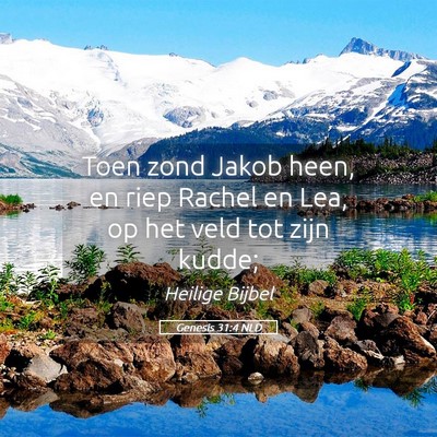 Picture 05 - Genesis 31:4 NLD - Toen zond Jakob heen, en riep Rachel en Lea, op - Bible Verse Picture
