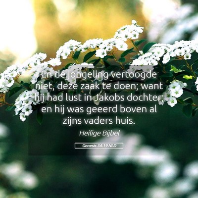 Picture 05 - Genesis 34:19 NLD - En de jongeling vertoogde niet, deze zaak te - Bible Verse Picture