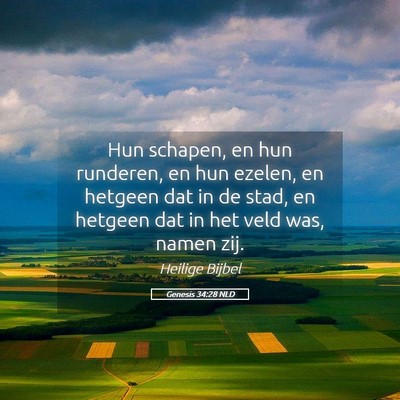 Picture 05 - Genesis 34:28 NLD - Hun schapen, en hun runderen, en hun ezelen, en - Bible Verse Picture