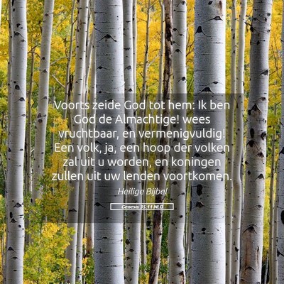 Picture 05 - Genesis 35:11 NLD - Voorts zeide God tot hem: Ik ben God de - Bible Verse Picture