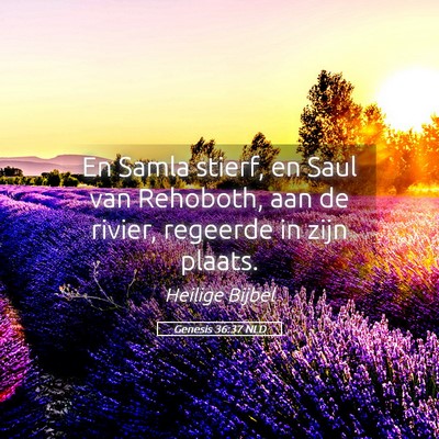 Picture 05 - Genesis 36:37 NLD - En Samla stierf, en Saul van Rehoboth, aan de - Bible Verse Picture