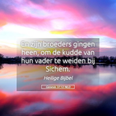 Picture 05 - Genesis 37:12 NLD - En zijn broeders gingen heen, om de kudde van hun - Bible Verse Picture