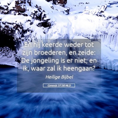 Picture 05 - Genesis 37:30 NLD - En hij keerde weder tot zijn broederen, en zeide: - Bible Verse Picture
