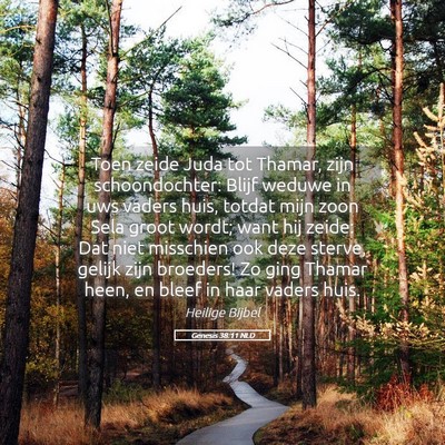 Picture 05 - Genesis 38:11 NLD - Toen zeide Juda tot Thamar, zijn schoondochter: - Bible Verse Picture