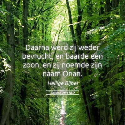 Picture 05 - Genesis 38:4 NLD - Daarna werd zij weder bevrucht, en baarde een - Bible Verse Picture