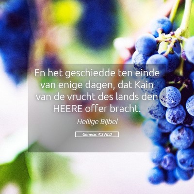 Picture 05 - Genesis 4:3 NLD - En het geschiedde ten einde van enige dagen, dat - Bible Verse Picture
