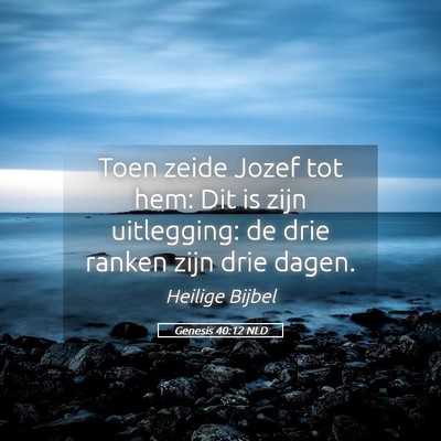 Picture 05 - Genesis 40:12 NLD - Toen zeide Jozef tot hem: Dit is zijn uitlegging: - Bible Verse Picture