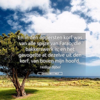 Picture 05 - Genesis 40:17 NLD - En in den oppersten korf was van alle spijze van - Bible Verse Picture