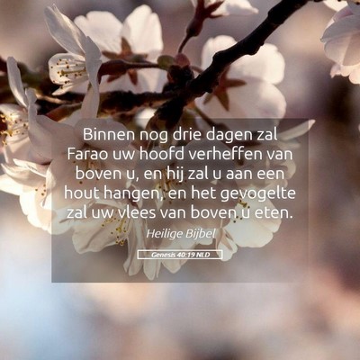 Picture 05 - Genesis 40:19 NLD - Binnen nog drie dagen zal Farao uw hoofd - Bible Verse Picture