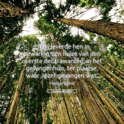 Picture 05 - Genesis 40:3 NLD - En hij leverde hen in bewaring, ten huize van den - Bible Verse Picture