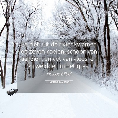 Picture 05 - Genesis 41:2 NLD - En ziet, uit de rivier kwamen op zeven koeien, - Bible Verse Picture