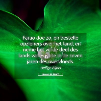 Picture 05 - Genesis 41:34 NLD - Farao doe zo, en bestelle opzieners over het - Bible Verse Picture
