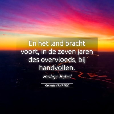 Picture 05 - Genesis 41:47 NLD - En het land bracht voort, in de zeven jaren des - Bible Verse Picture