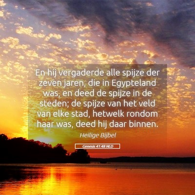 Picture 05 - Genesis 41:48 NLD - En hij vergaderde alle spijze der zeven jaren, - Bible Verse Picture