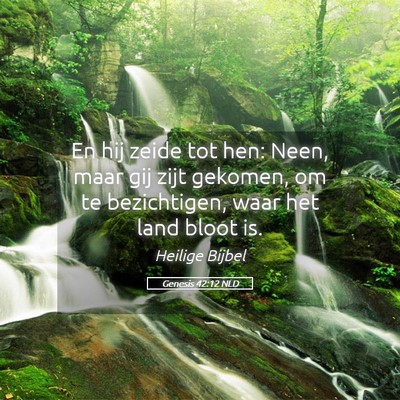 Picture 05 - Genesis 42:12 NLD - En hij zeide tot hen: Neen, maar gij zijt - Bible Verse Picture