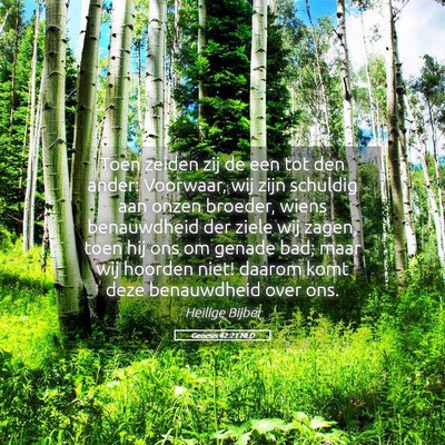 Picture 05 - Genesis 42:21 NLD - Toen zeiden zij de een tot den ander: Voorwaar, - Bible Verse Picture