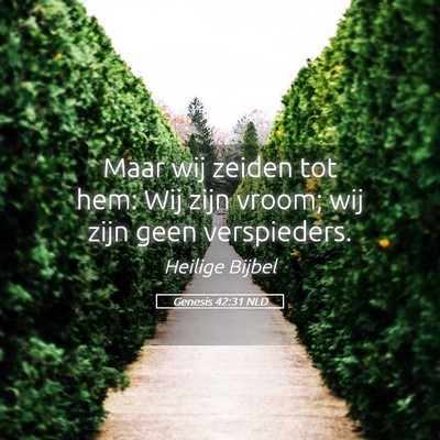Picture 05 - Genesis 42:31 NLD - Maar wij zeiden tot hem: Wij zijn vroom; wij zijn - Bible Verse Picture