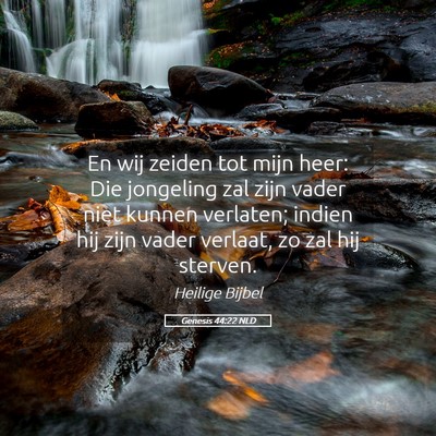 Picture 05 - Genesis 44:22 NLD - En wij zeiden tot mijn heer: Die jongeling zal - Bible Verse Picture