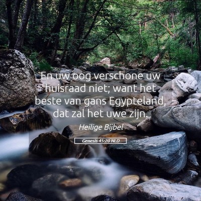 Picture 05 - Genesis 45:20 NLD - En uw oog verschone uw huisraad niet; want het - Bible Verse Picture
