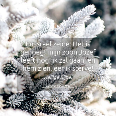 Picture 05 - Genesis 45:28 NLD - En Israel zeide: Het is genoeg! mijn zoon Jozef - Bible Verse Picture