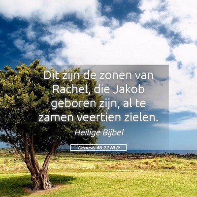 Picture 05 - Genesis 46:22 NLD - Dit zijn de zonen van Rachel, die Jakob geboren - Bible Verse Picture