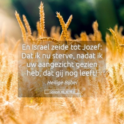 Picture 05 - Genesis 46:30 NLD - En Israel zeide tot Jozef: Dat ik nu sterve, - Bible Verse Picture